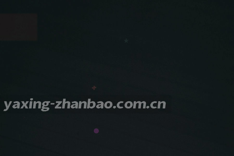 日历网格与荧光绿标记，体现每周更新节奏